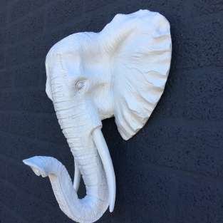 Beautiful white elephant head wall ornament, beautiful!!